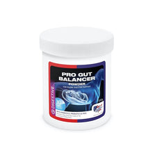 Load image into Gallery viewer, Equine America Pro Gut Balancer