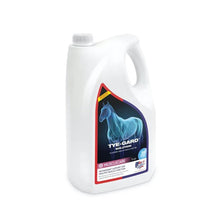 Load image into Gallery viewer, Equine America Tye Gard