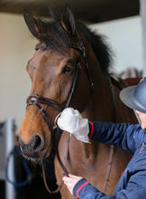 Load image into Gallery viewer, Belvoir® Tack Cleaner Mitts (10 Pack)