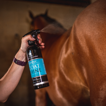 Load image into Gallery viewer, Canter® Coat Shine