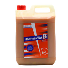 Load image into Gallery viewer, Equine Products UK Haemavite B Plus