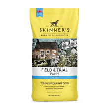 Load image into Gallery viewer, Skinners Field & Trial Puppy