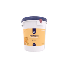 Load image into Gallery viewer, Hestevard Pectigus