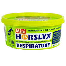 Load image into Gallery viewer, Horslyx Respiratory