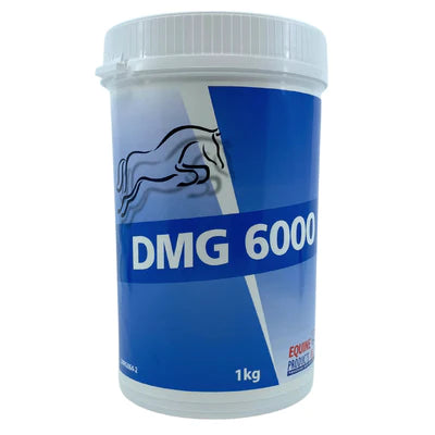 Equine Products UK DMG 6000 1KG