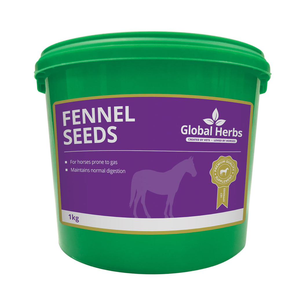 Global Herbs Fennel Seeds 1kg