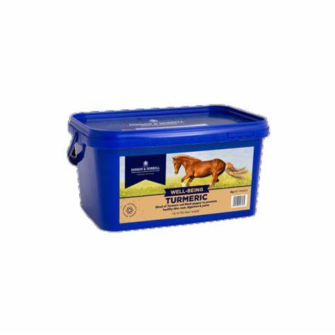 Dodson & Horrell Turmeric 2Kg