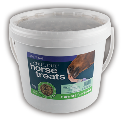 Fulmart Chill Out Mint & Herb Treats